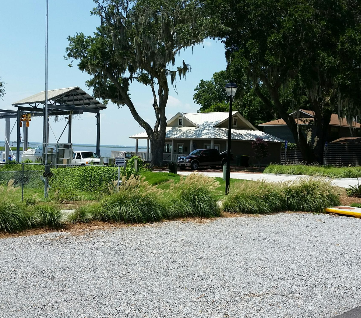Coffee Bluff Marina, Savannah, GA Coffee Bluff Marina, Savannah, GA